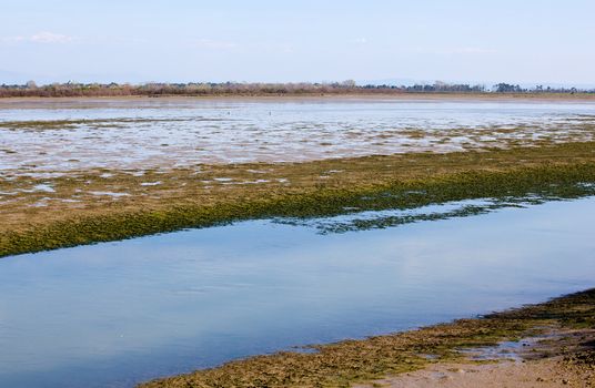 Grado lagoon, Friuli Venezia giulia - Italy