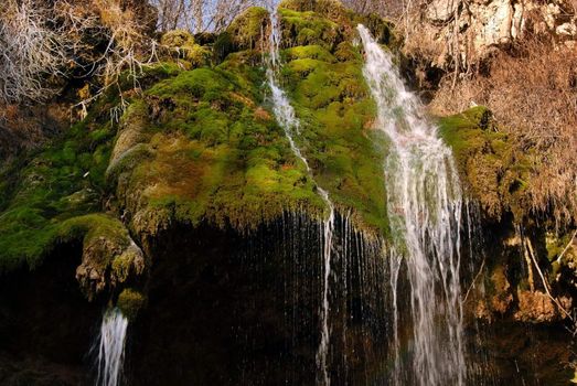 falling water stream over green moss at sunny day