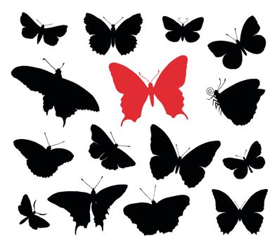 Butterfly silhouettes collection isolated in white background.
