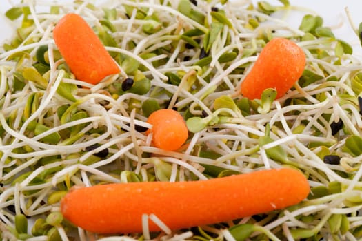 Fresh alfalfa sprouts and carrot isolated on white background