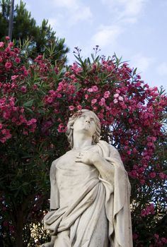 Statue, red flower on background - Catania cathedral