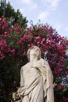 Statue, red flower on background - Catania cathedral