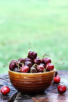 Bowl of black cherries with stems with available copy space.