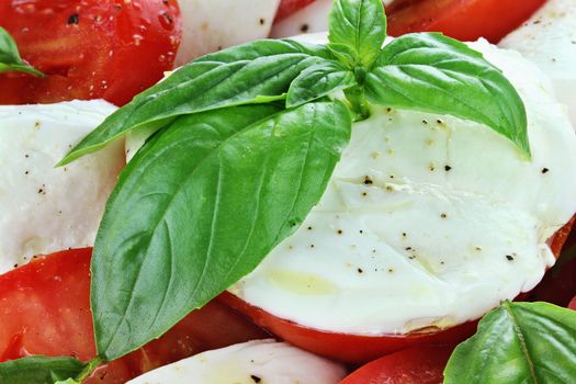 Extreme close up of freshly prepared delicious caprese salad.