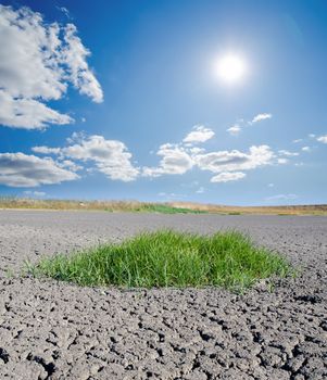 sun over drought land