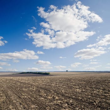 black field after harvesting