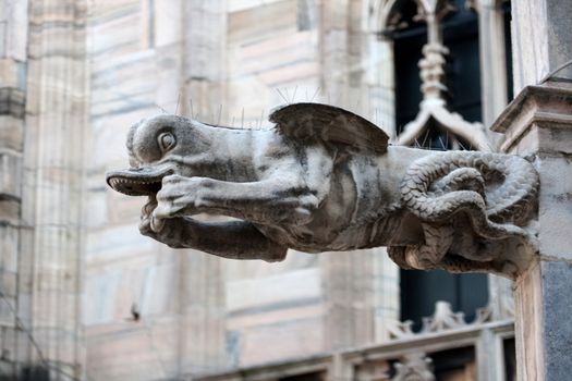 Monster, statue on the Milan cathedral - Italy