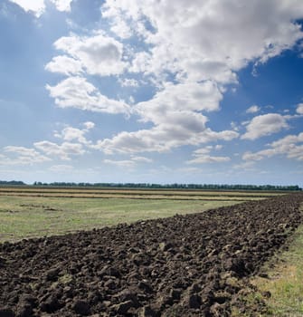 ploughed field after harvesting