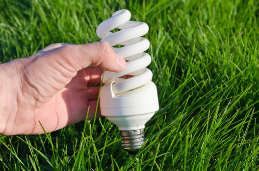 energy saving lamp in hand over green grass