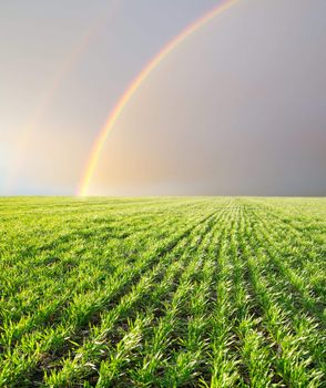 Landscape with a rainbow