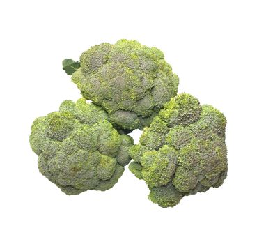 Broccoli it is isolated on a white background.