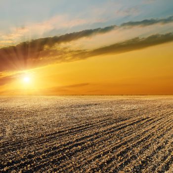 sunset over black field after harvesting