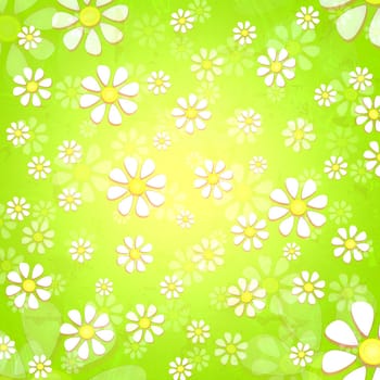 spring background with white daisy flowers over yellow green gradient