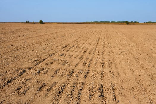 Field  in autumn prepared for the next season