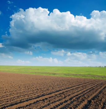 ploughed field