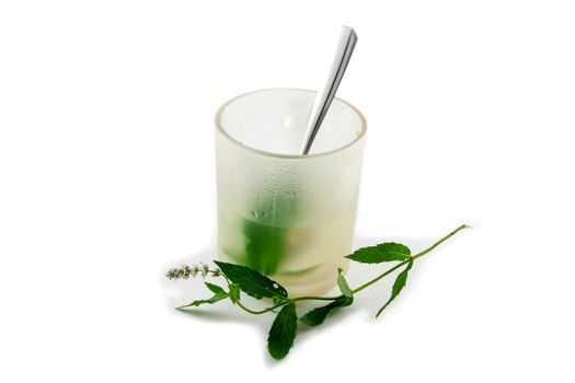 Mint tea made of fresh mint leaves