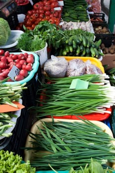 Different kinds of vegetables at an outdoor farmer market