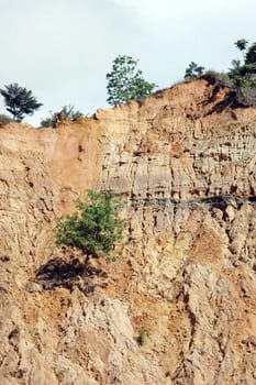 single tree on eroded mountain