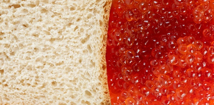 bread and red caviare background