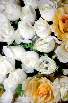 white and yellow rose background