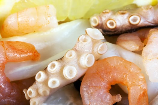 boiled shrimp, prawns and octopus background