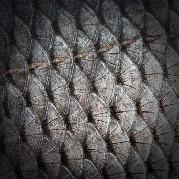 black wall fish scales texture background