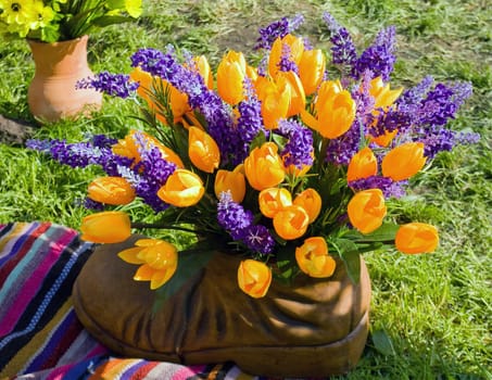 fresh tulips yellow spring flower