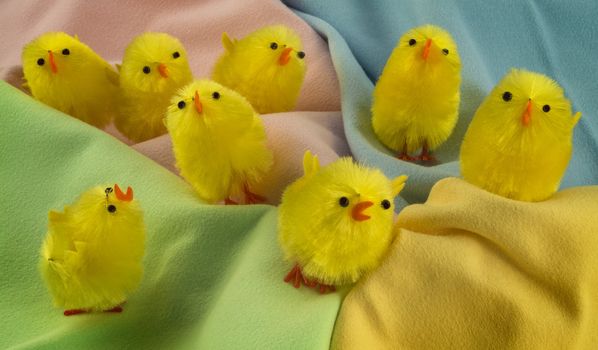 Group of yellow Easter chicks on a landscape of four colours