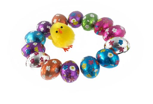 Easter chicks surrounded by Multi coloured chocolate eggs isolated on white