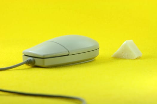 mouse going for cheese in yellow background horizontal business concepts humor