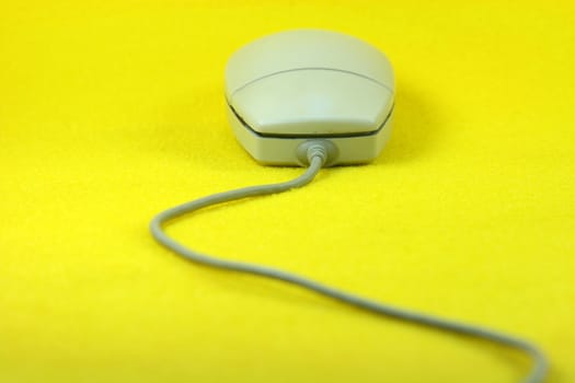 mouse in yellow background horizontal business concepts