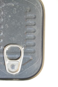 Close up of a tin can with sardines.
