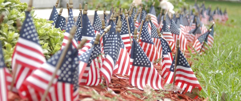 Parade of flags on the fourth of July