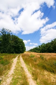 sand path in a rural environment with blue cloudy sky  