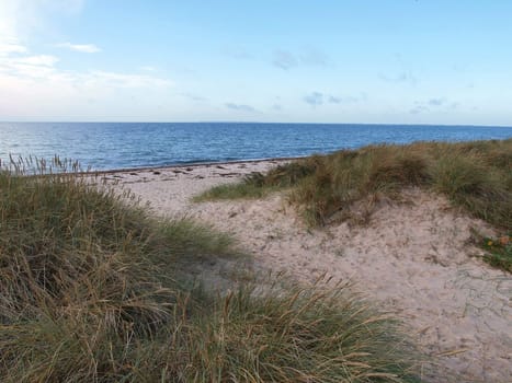 Seascape seashore background Assens Denmark     