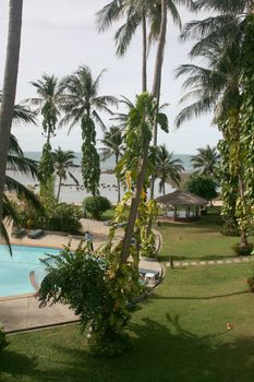 tropical resort in samui thailand palm trees and pool a man cleaning the pool