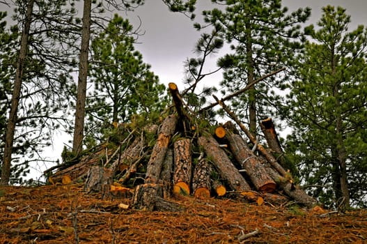 Black Hills South Dakota