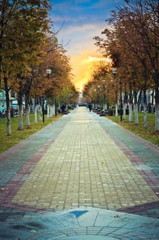 walk way surface of concrete blocks