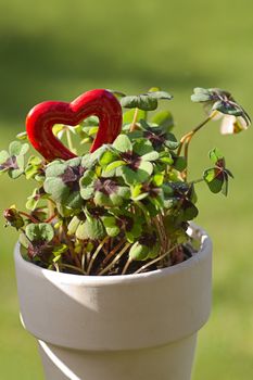 Four leaf clover with a red heart for Valentine or St, Patrick's day - vertical