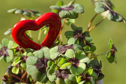 Four leaf clover with a red heart for Valentine or St, Patrick's day - horizontal