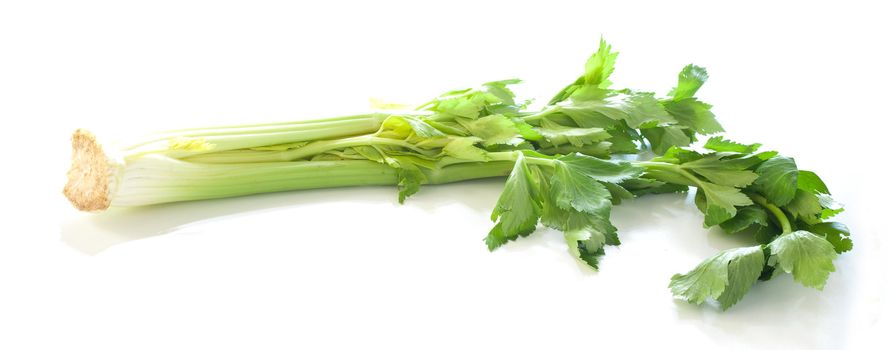 Celery on white background