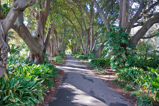 botanic garden in Adelaide, South australia