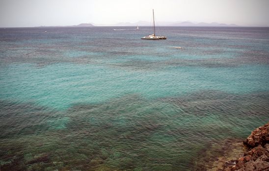 Under water on the isle of Lanzarote, Canarias.