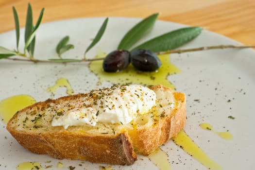 Bread, ricotta cheese and olive oil on dish