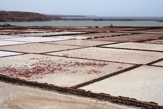 Landscape view from the isle of Lanzarote, Canarias.