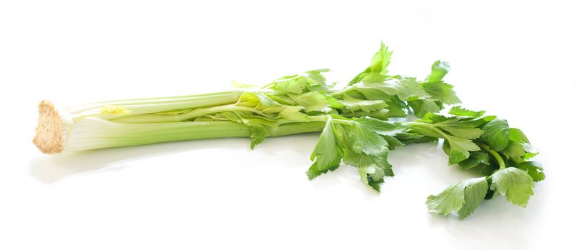 Celery on white background