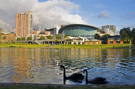 the downtown adeilaide and the river