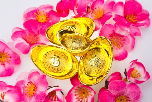 Chinese golden ingots with cherry plum blossoms on white surface