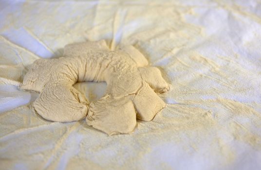 Photo of fresh raw dough