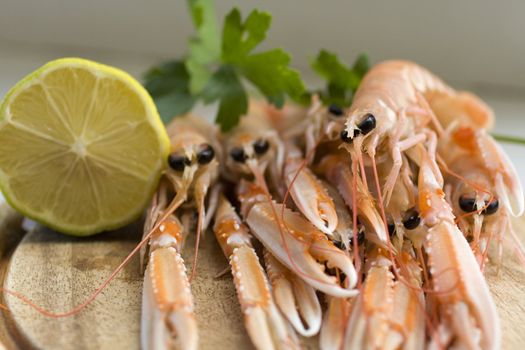 Close up of fresh scampi